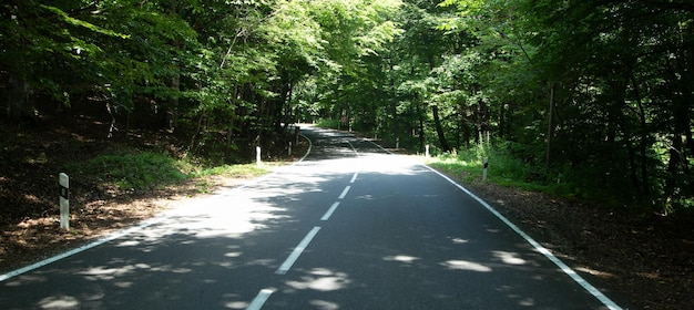 Photo beautiful view of country road