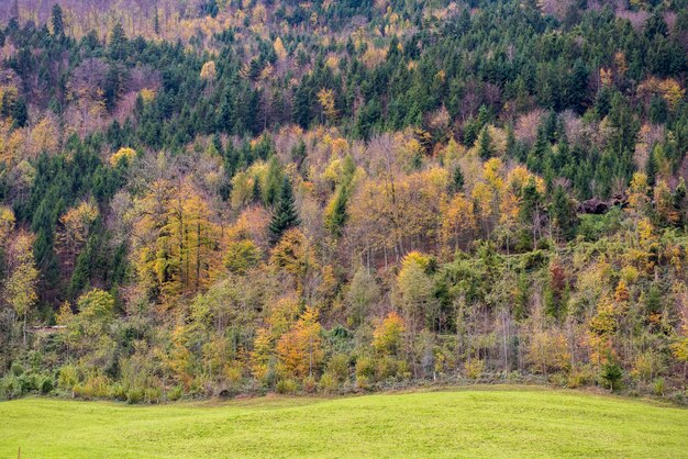 Bella vista del villaggio e della montagna della campagna all'autunno a engelberg, svizzera