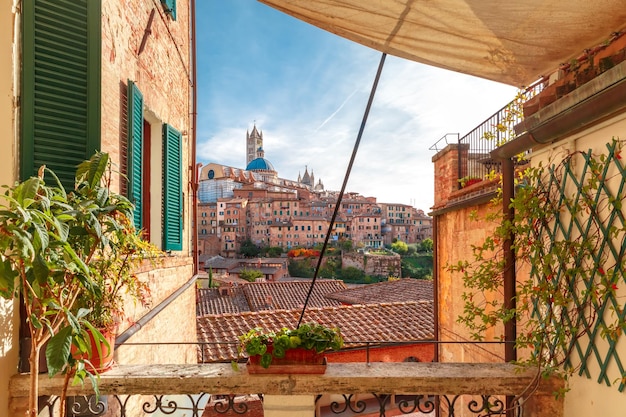 Beautiful view of Dome and campanile of Siena Cathedral, Duomo di Siena, and Old Town of medieval city of Siena in the sunny day through autumn leaves, Tuscany, Italy