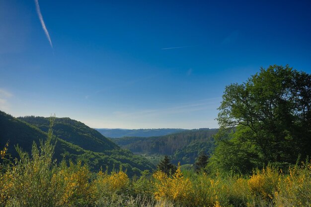 Beautiful view of the eifel