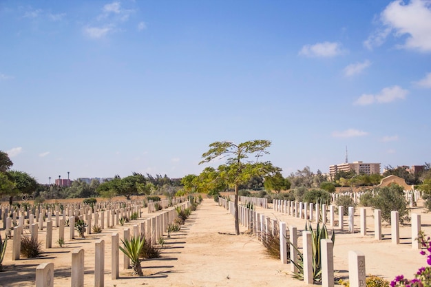 Beautiful view of El Alamein British War Cemetery in El Alamein, Egypt