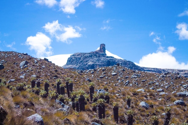 Beautiful view of  El Cocuy National Park , Colombia