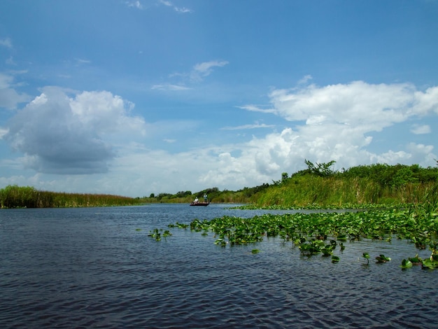 A Beautiful view of Everglades Swamp on Summer