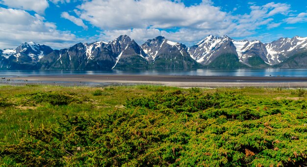 ノルウェーのフィヨルドの美しい景色