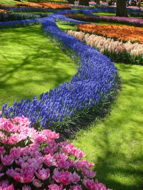 봄 공원 Keukenhof 네덜란드에서 꽃의 아름다운 전망