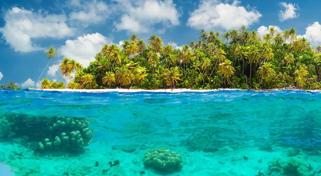 Bella vista di un'isola boscosa sotto il mare in alta risoluzione e nitidezza hd