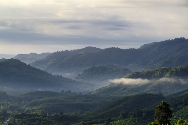 Photo beautiful view from mountain