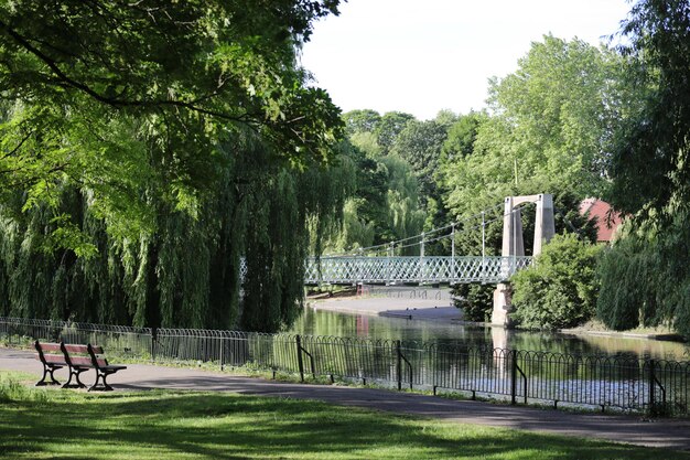 イギリスのウォードダウン公園にあるリー川を渡る橋の岸から眺める美しい景色