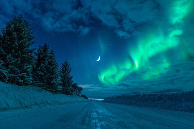 Beautiful view of the frozen street under the green aurora\
borealis against a night sky in tromso