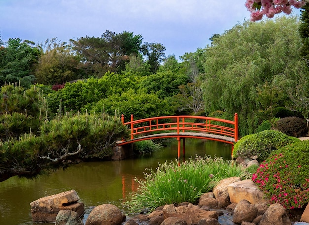 Beautiful view of a garden with a lake and a japan style bridge