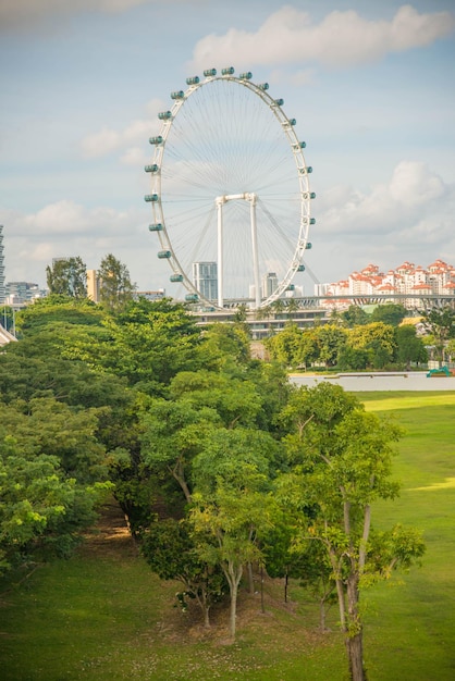 A beautiful view of Gardens by the bay located in Singapore