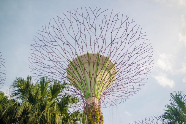 A beautiful view of Gardens by the bay located in Singapore