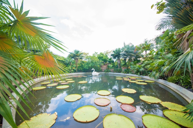 Photo a beautiful view of gardens by the bay located in singapore