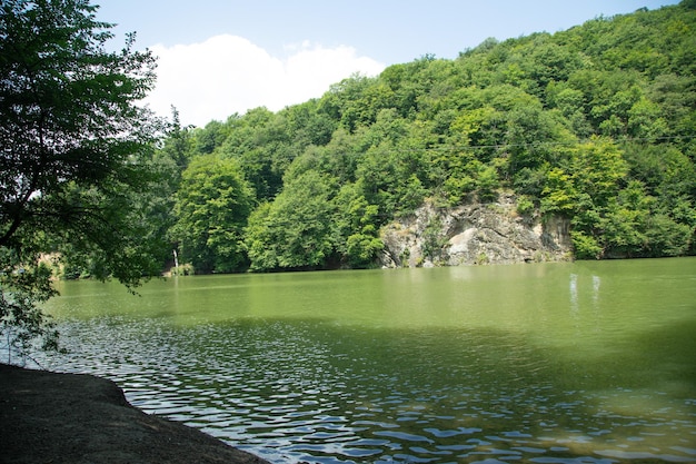 美しい景色と森のある緑の湖