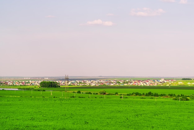 Beautiful view Green meadow and houses away