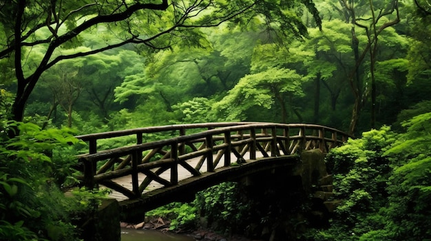 beautiful view of greenery and a bridge in the forest