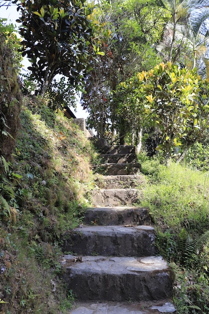 A beautiful view of Gunung Kawi temple located in Bali Indonesia