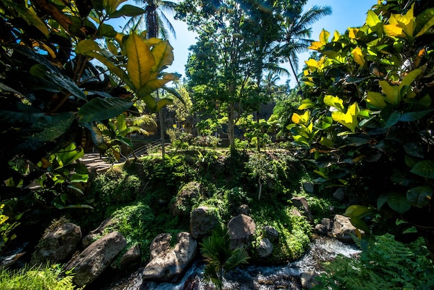 A beautiful view of Gunung Kawi temple located in Bali Indonesia