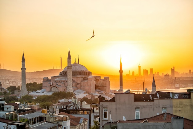Beautiful view on Hagia Sophia in Istanbul Turkey from top view at sunset