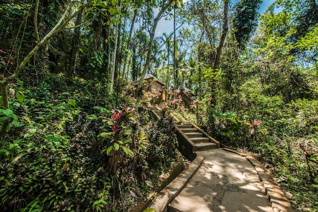 インドネシアのバリ州にあるヒンドゥー寺院の美しい景色