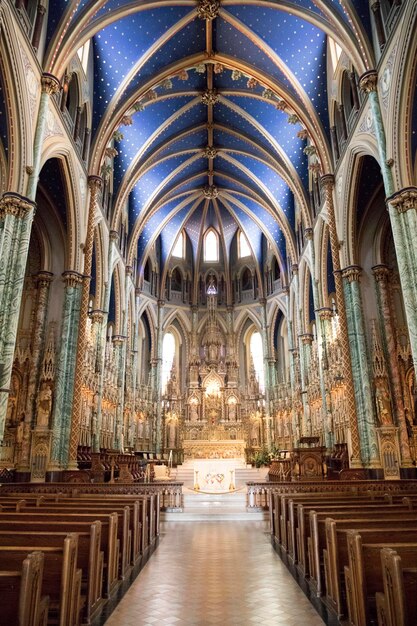 Foto bella vista dell'interno della basilica della cattedrale di notre dame a ottawa, in canada