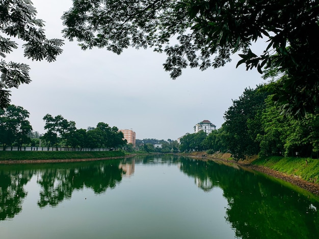 Beautiful view of the lake in the morning with of shady trees around it