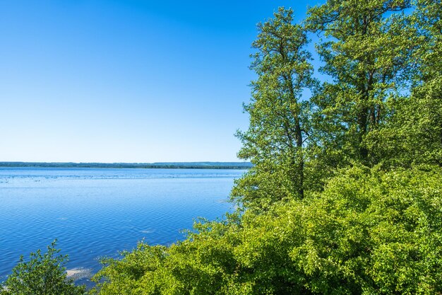 Beautiful view of a lake in the summer by a deciduous forest