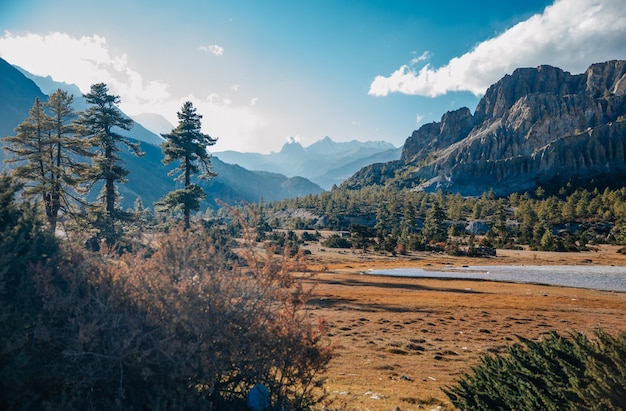 Beautiful view of a lake surrounded by trees and mountains on a nice and sunny day