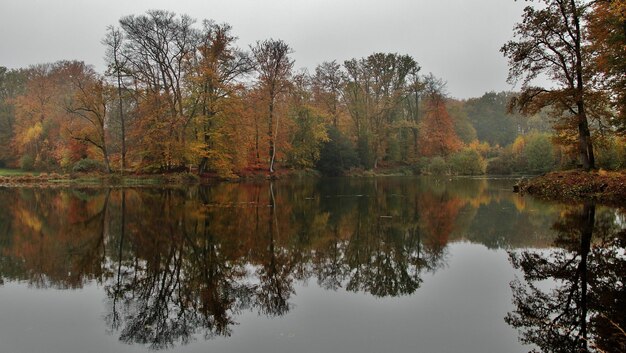 Beautiful view of a lake with the reflection of autumn leaves near Ootmarsum, Twente, Netherlands