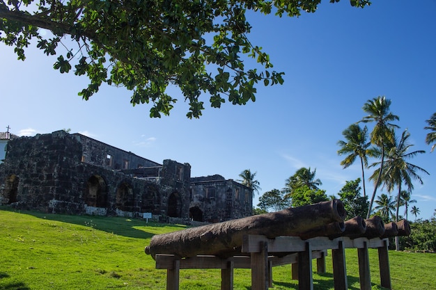 beautiful view of the landscape and garden with the cannons of the garcia davila castle in Bahia