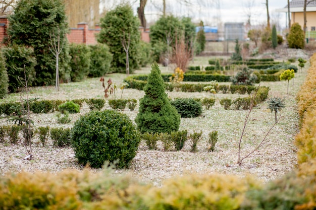 Beautiful view of landscaped garden in backyard