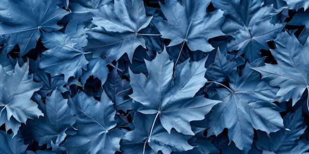 Beautiful View Of The Leaves In Monochromatic Blue Nova Color