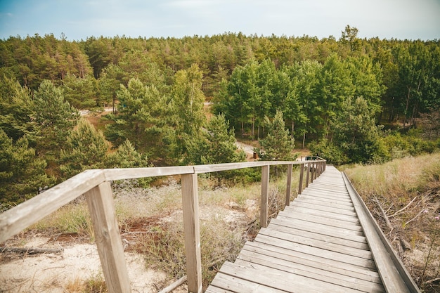 Beautiful view of a long staircase from the beach to the pine forest in the Curonian Spit Lithuania