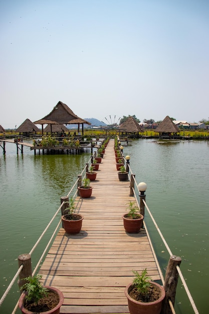 Прекрасный вид на ресторан Lotus Flower Field, расположенный в Сиемреапе, Камбоджа.