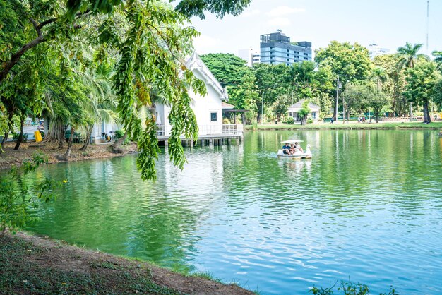 A beautiful view of Lumpini Park located in Bangkok Thailand