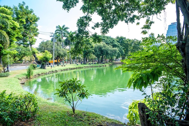 Photo a beautiful view of lumpini park located in bangkok thailand