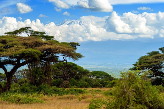 Beautiful view of the majestic Mount Kilimanjaro seen from National Park, Kenya