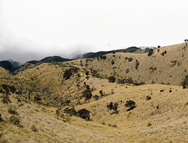 Beautiful view on Mount Merbabu