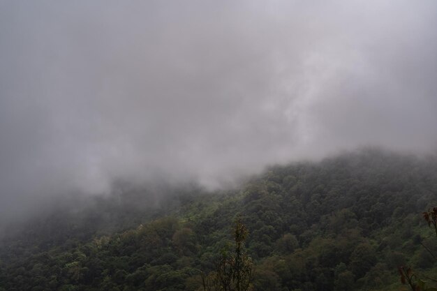 Bella vista sulla montagna e la nebbia nella foresta al monte monjong
