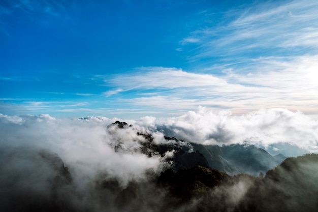 青い空の下で霧の中の山頂の美しい景色。ドラマチックなシーン。緑の山脈の素晴らしい風景。