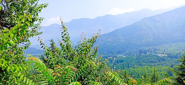 카슈미르 굴마르그(Kashmir Gulmarg)의 화창한 날 산의 아름다운 전망
