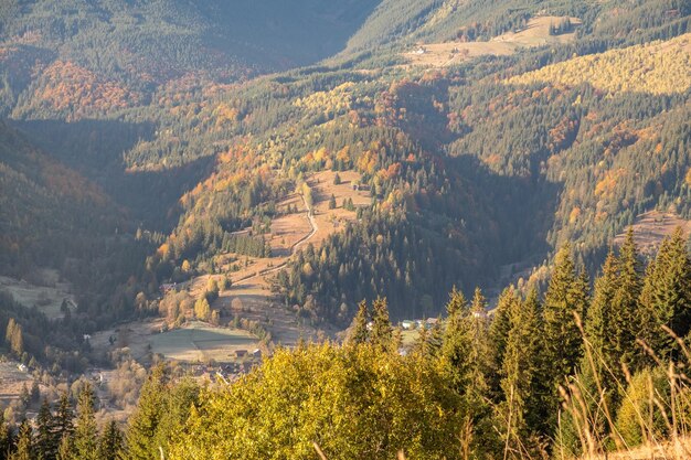 Beautiful view of mountains in Ukraine Wonderful panoramic landscape with autumn forest on a sunny day