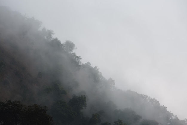 Beautiful view of mountains and white mist