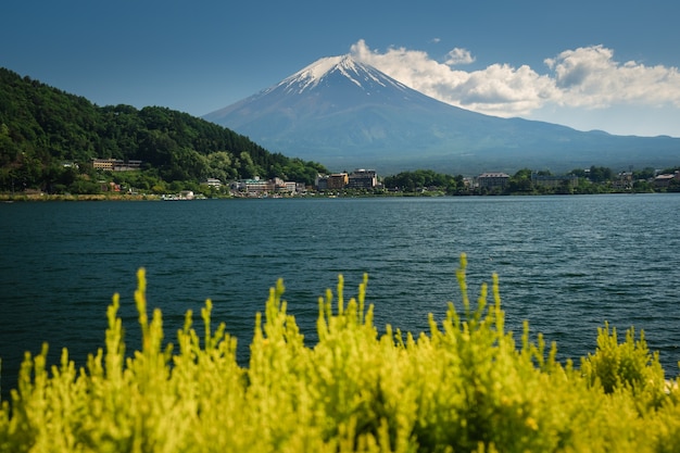 写真 川口の夏には、雪、青空、雲が降り注ぐ美しい眺望富士山