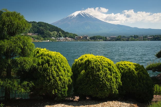 Bella vista mt. fuji con neve, cielo blu e clound in estate a kawaguchi, in giappone