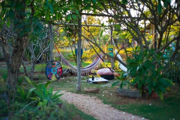 A beautiful view of nature in Chapada dos Veadeiros located in Alto Paraiso Goias Brazil