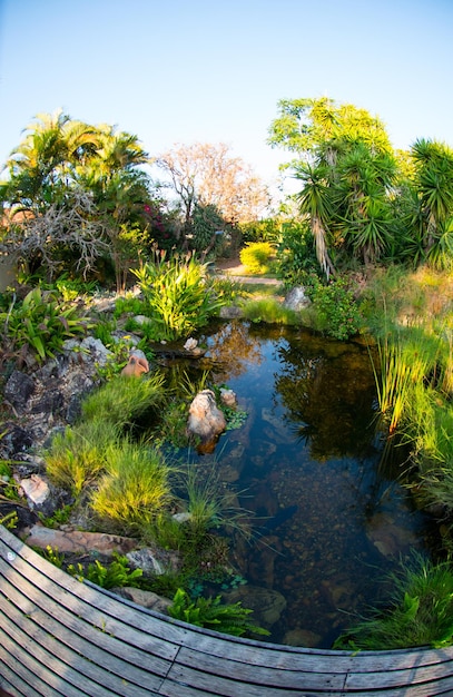 A beautiful view of nature in Chapada dos Veadeiros located in Alto Paraiso Goias Brazil