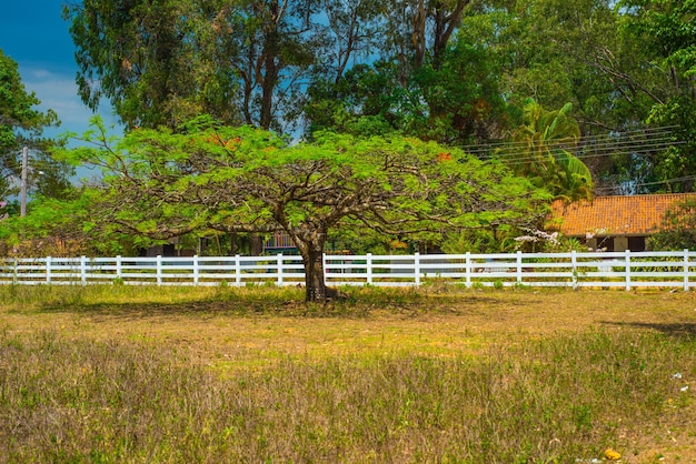 A beautiful view of nature in Chapada dos Veadeiros located in Alto Paraiso Goias Brazil