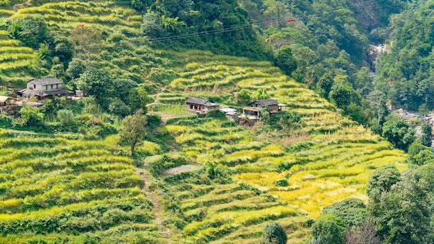 Beautiful view of nature on a trekking trail to the Annapurna base camp, the Himalayas, Nepal. Himalayas mountain landscape in the Annapurna region. Annapurna base camp trek.