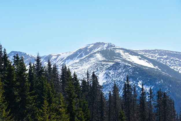 Фото Прекрасный вид на снежные горы с голубым небом в солнечный весенний день. западные татры.